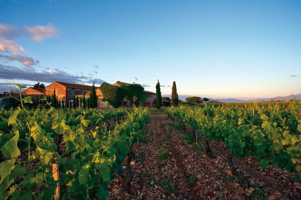 Mas Baux vineyard